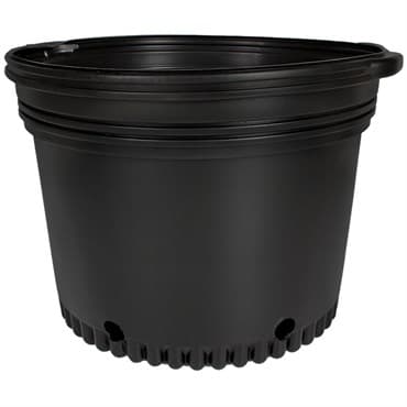 HC Dillen Whiteridge BM 10 Squat Nursery Pot, Blow Molded, Trade 10 Gallon, Black, 15 per Bundle, 36 Bundles per Pallet, 17.75in x 11.75in 9.72Gal, 10Gallon — photo 1 of 2