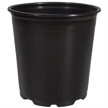 DLN 19.00 CM TALL EURO POT COEX BLK/BLK 132/CS 36CS/PL — photo 1 of 2