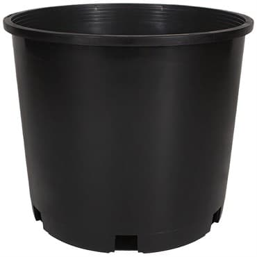 HC PROCAL Dillen Trade 05.00 Gallon Squat Nursery Pot, Injection Molded, Black, 30 per Bundle, 32 Bundles per Pallet, 12.50in x 9.00in, 3.75Gl, 5Gallon — photo 1 of 2
