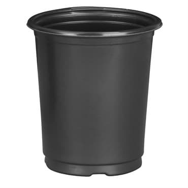 DLN 01.00QT PER TL TAG SLOT COEX Black 432/CS 33CS/PL — photo 1 of 2