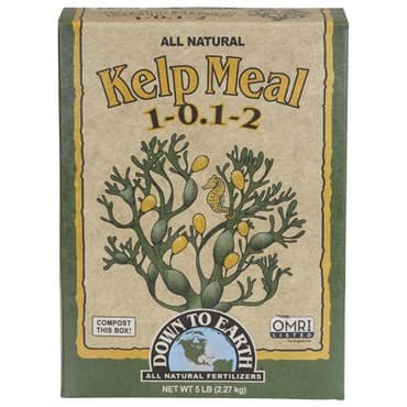 Down to Earth 5# Kelp Meal 1-0.1-2 OMRI — photo 1 of 2
