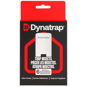 DynaTrap 6pk LED Flylight Refill Adhesive Pads For Trap — photo 1 of 2