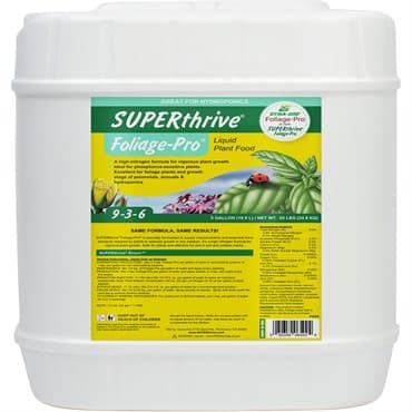 SUPERThrive 5gal Foliage-Pro 9-3-6 Plant Food — photo 1 of 2