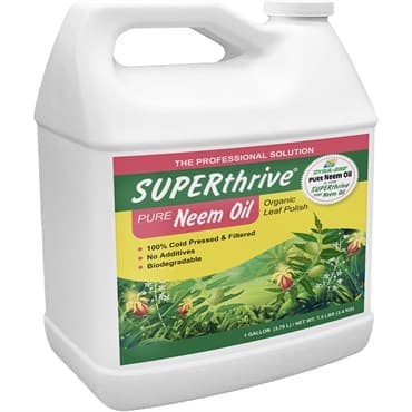 SUPERThrive 1gal Neem Oil Leaf Polish — photo 1 of 2
