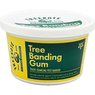 Treekote Tree Banding Gum Crawling Pest Barrier — photo 1 of 2