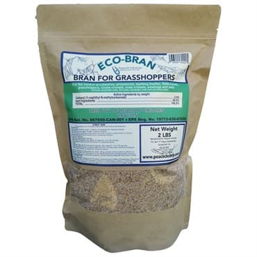 EcoBran 2# Bait to Kill Grasshoppers, Crickets, Ants, & More! — photo 1 of 2