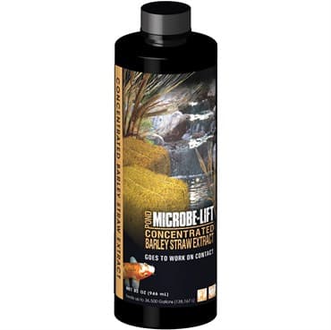 Eco Labs 32oz Barley Straw Extract Concentrate — photo 1 of 2