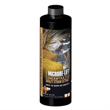 Eco Labs 16oz Barley Straw Extract Concentrate — photo 1 of 2
