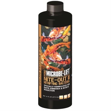 Eco Labs 16oz Microbe Lift Nite-Out Nutrifying Bacteria — photo 1 of 2