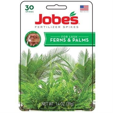 Jobes 30ct Fern & Palm Spikes — photo 1 of 2