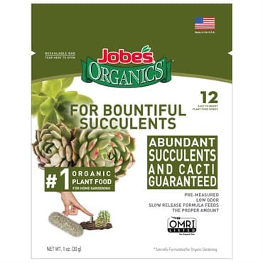 Jobes 12ct Organic Succulent Spikes — photo 1 of 2