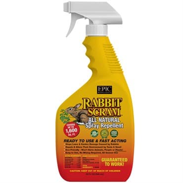 EPIC 32oz Rabbit Scram Liquid Repellent Ready to Use with Trigger Spray — photo 1 of 2