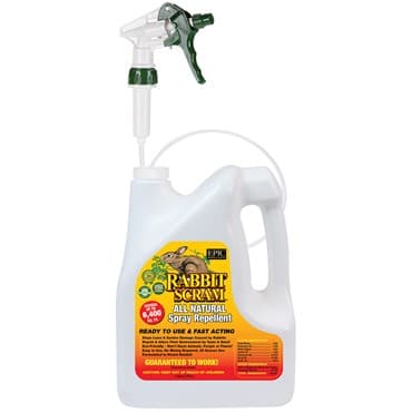 Epic 1gal Rabbit Scram Liquid Repellent Ready to Use — photo 1 of 2
