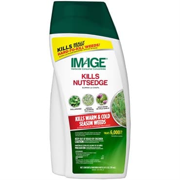 Image 24oz Kills Nutsedge Concentrate — photo 1 of 2