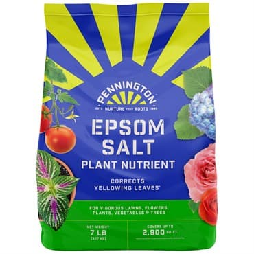 Pennington 7# Epsom Salt Plant Nutrient 6/CS — photo 1 of 2