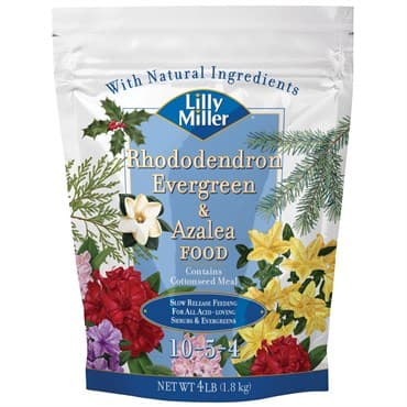 Lilly Miller 4# Rhododendron Evergreen & Azalea 10-5-4 — photo 1 of 2