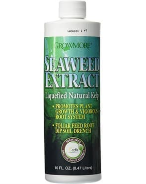 Grow More 16oz Seaweed Extract — photo 1 of 2