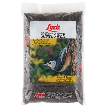 Lyric 25# Black Oil Sunflower — photo 1 of 2
