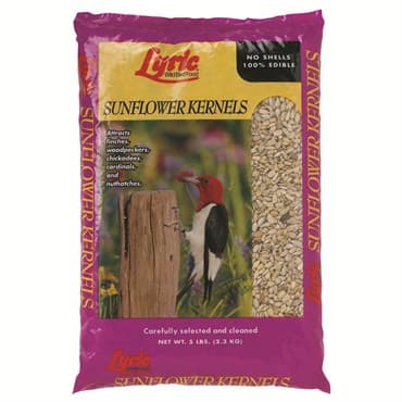 Lyric 25# Sunflower Kernels — photo 1 of 2