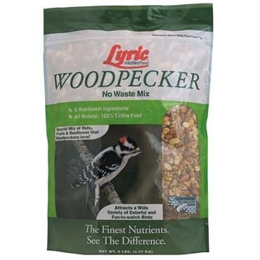 Lyric 5# Woodpecker Bird Food Cube Green — photo 1 of 2