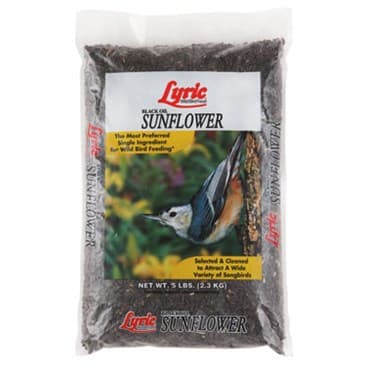 Lyric 5# Black Oil Sunflower — photo 1 of 2