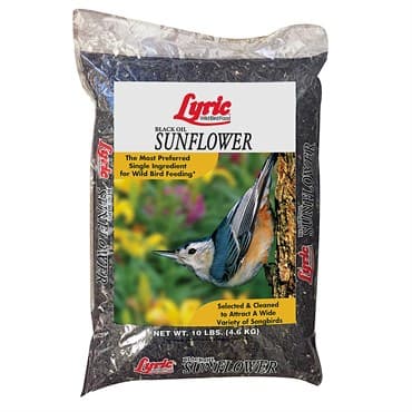 Lyric 10# Black Oil Sunflower — photo 1 of 2