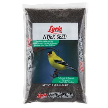 Lyric 3# Nyjer Seed — photo 1 of 2