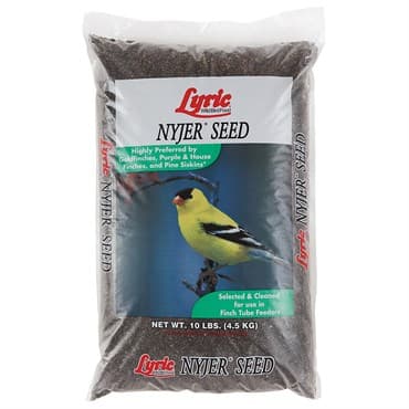 Lyric 10# Nyjer Seed — photo 1 of 2