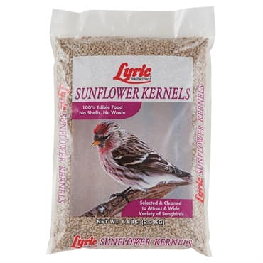 Lyric 5# Sunflower Kernels — photo 1 of 2