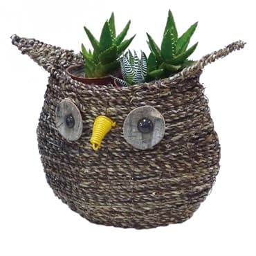 Gardener Select 10.5" Large Owl Rattan Rope Topiary 10/CS — photo 1 of 2
