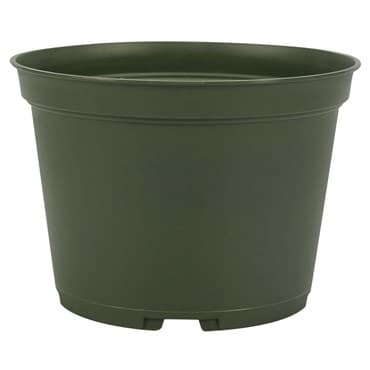 HC 6" Grower Pot Evergreen — photo 1 of 2