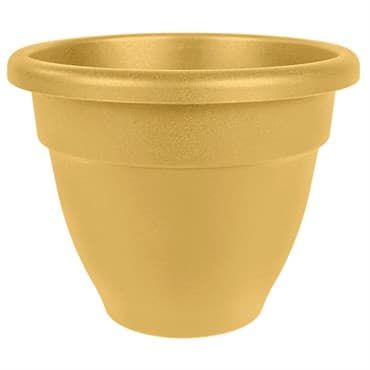 HC 12" Caribbean Planter Honey — photo 1 of 2