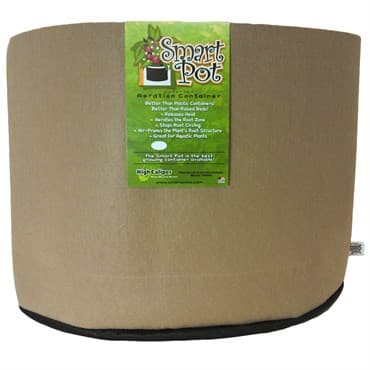 Smart Pot 20gal Tan Bulk Box — photo 1 of 2