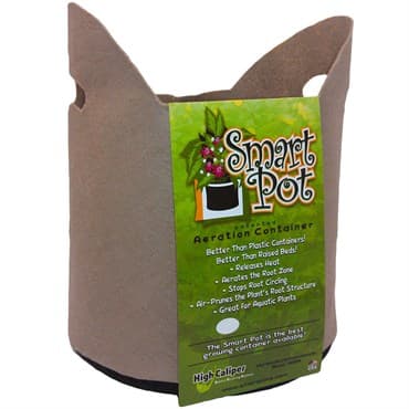 Smart Pot 5gal Tan w/ Handles Bulk Box — photo 1 of 2