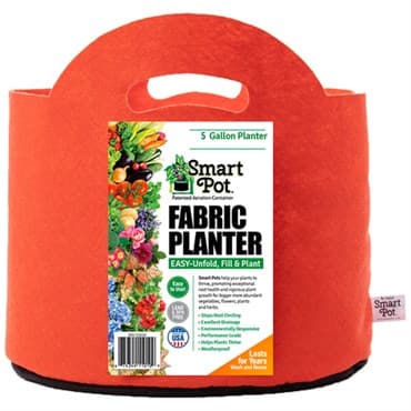 Smart Pot 12pc 5gal Mandarin Orange w/ Handle — photo 1 of 2