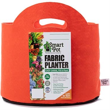Smart Pot 12pc 10gal Mandarin Orange w/ Handle — photo 1 of 2