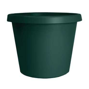 HC 10" Prima Planter Evergreen — photo 1 of 2