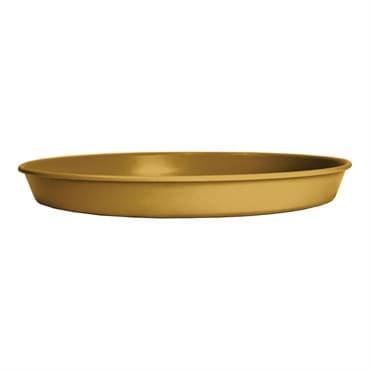 HC 10" Prima Saucer in Honey — photo 1 of 2