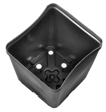 Gro Pro 5.5in x 5.5in x 6in Square Plastic Pot (200/CS) — photo 1 of 2