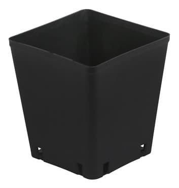 Gro Pro 5 x 5 x 5.25 in Square Plastic Pot Black (8400/PL) — photo 1 of 2