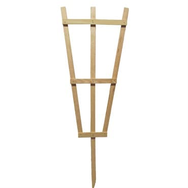 Heritage Wood 12"x6"x3' Single Stake Espalier — photo 1 of 2