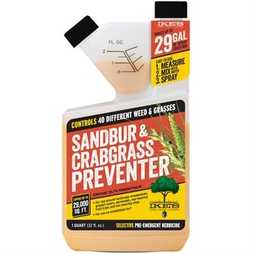 IKES 1qt Sandbur & Crabgrass Preventer Pendmethalin 38.7% — photo 1 of 2