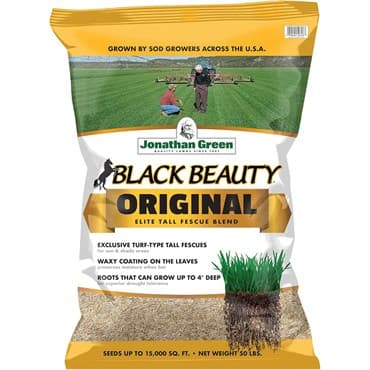 Jonathan Green 50# Black Beauty Tall Fescue — photo 1 of 2
