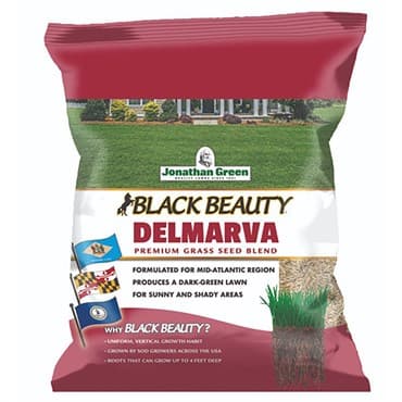 Jonathan Green 3# Black Beauty Delmarva — photo 1 of 2