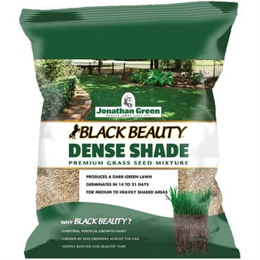 Jonathan Green 3# Black Beauty Dense Shade — photo 1 of 2