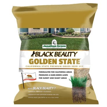 Jonathan Green 1# Black Beauty Golden State — photo 1 of 2