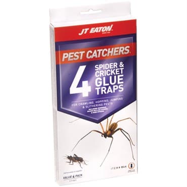 Pest Catchers Large Spider & Cricket Glue Boards — photo 1 of 2