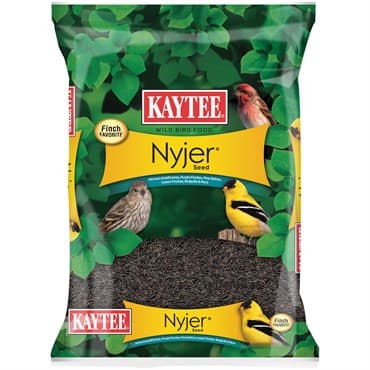 Kaytee 3# Nyjer Thistle Seed — photo 1 of 2