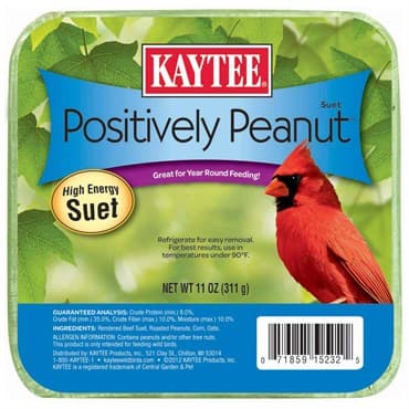 Kaytee 11oz Positively Peanut Suet — photo 1 of 2
