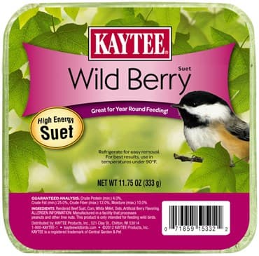 Kaytee 11.75oz Wild Berry Suet — photo 1 of 2